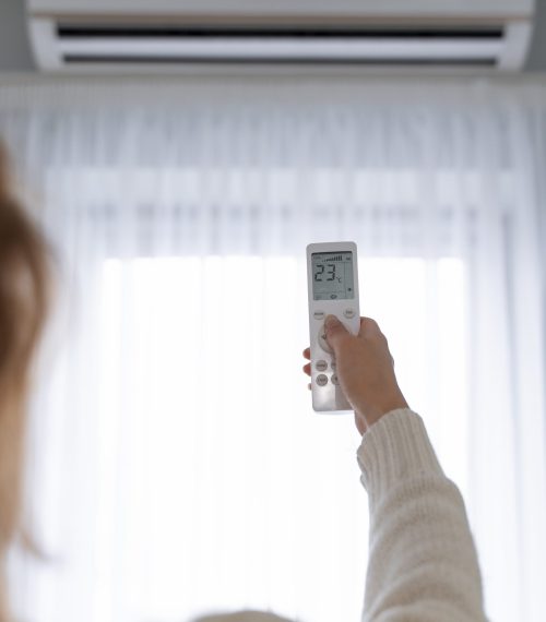 woman-holding-remote-start-heater